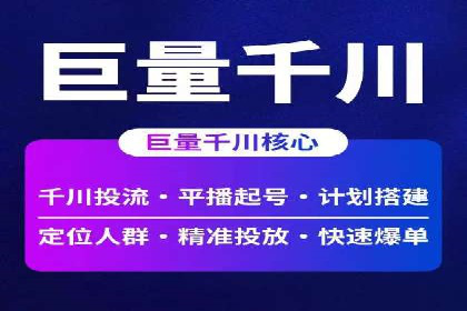 竞价广告的深度解析：以一知名品牌为例